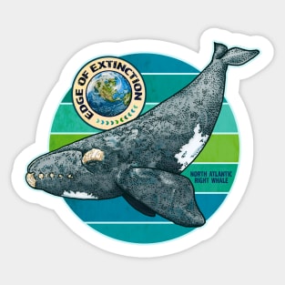 EDGE OF EXTINCTION North Atlantic Right Whale Sticker